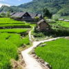 7 Day Trip: Ho Chi Minh City, Mekong And Da Lat