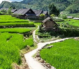7 Day Trip: Ho Chi Minh City, Mekong And Da Lat