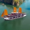 Peony Cruise
