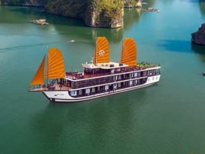 Peony Cruise