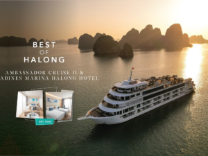 Combo Ambassador Cruise II & Citadines Marina Halong Hotels
