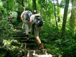 Ninh Binh - Cuc Phuong National Park - 2 Days/1 Night