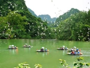 Ninh Binh - Thung Nham - 2 Days/1 Night