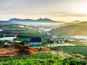 Da Lat Farm