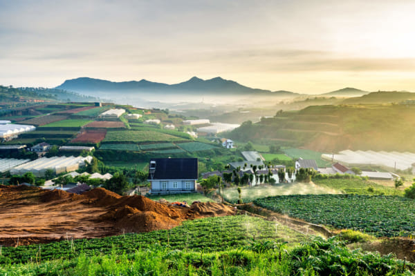 Da Lat Farm